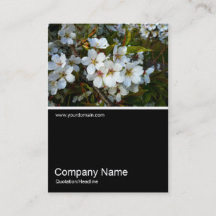 Cartão De Visita Meia &Foto 024 - Cherry Blossom