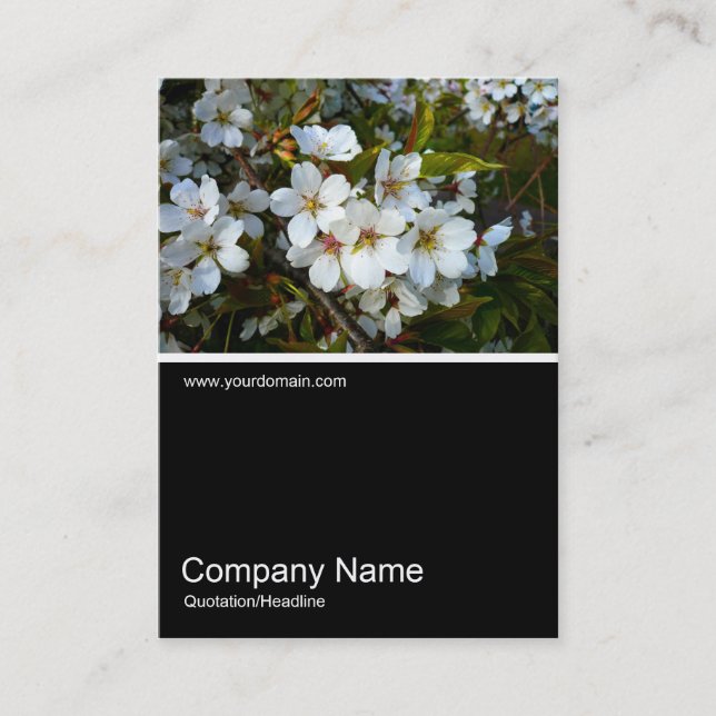 Cartão De Visita Meia &Foto 024 - Cherry Blossom (Frente)