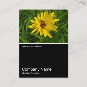 Cartão De Visita Meia &Foto 0259 - Hover Fly on a Yellow Chrys