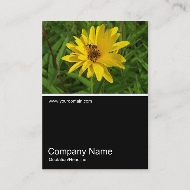 Cartão De Visita Meia &Foto 0259 - Hover Fly on a Yellow Chrys (Frente)