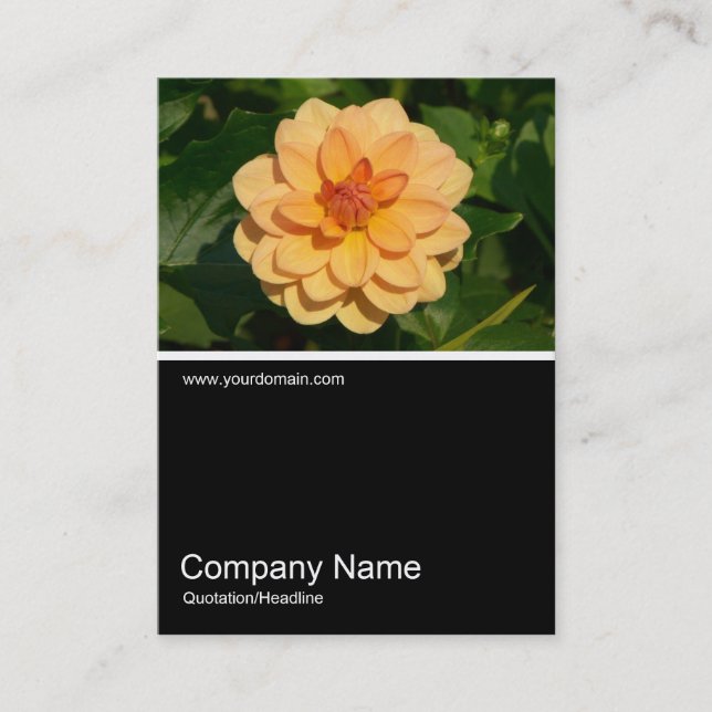 Cartão De Visita Meia Foto 0281 - Dahlia 'David Howard' (Frente)
