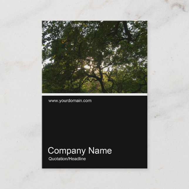 Cartão De Visita Meia &Foto 0287 - Japonês Branches 04 (Frente)