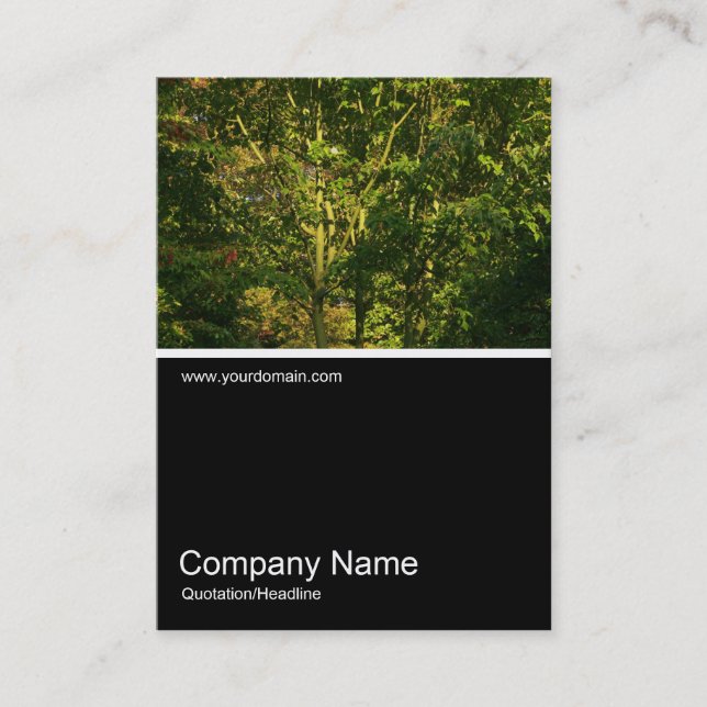 Cartão De Visita Meia &Foto 0288 - Japonês Branches 05 (Frente)