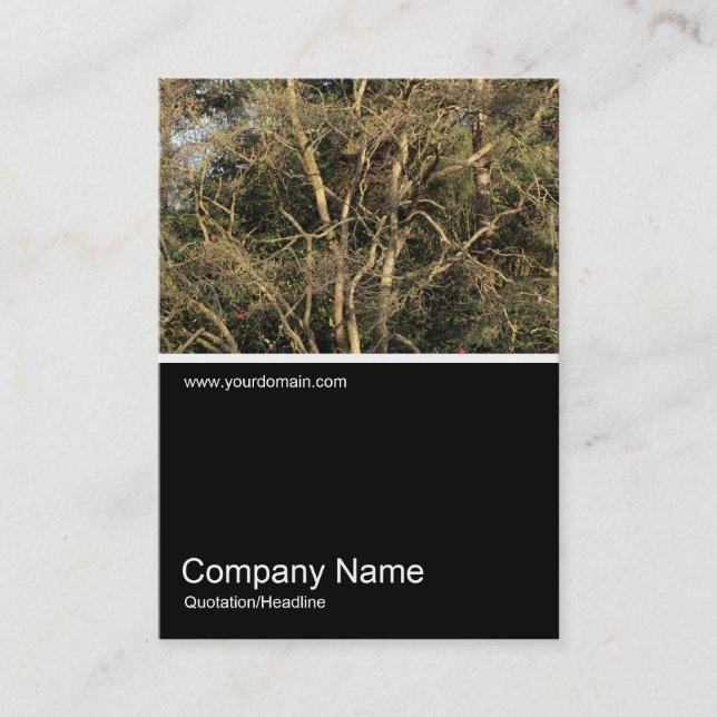 Cartão De Visita Meia &Foto 0312 - Ramificações de Ouro (Frente)