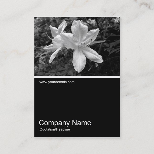 Cartão De Visita Meia &Foto 034 - Azaleas (Frente)