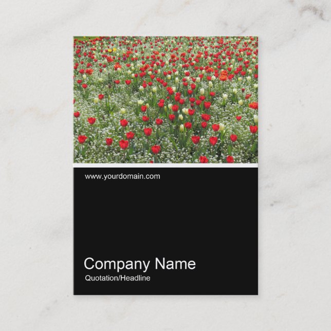 Cartão De Visita Meia &Foto 0379 - Cama de Tulips (Frente)