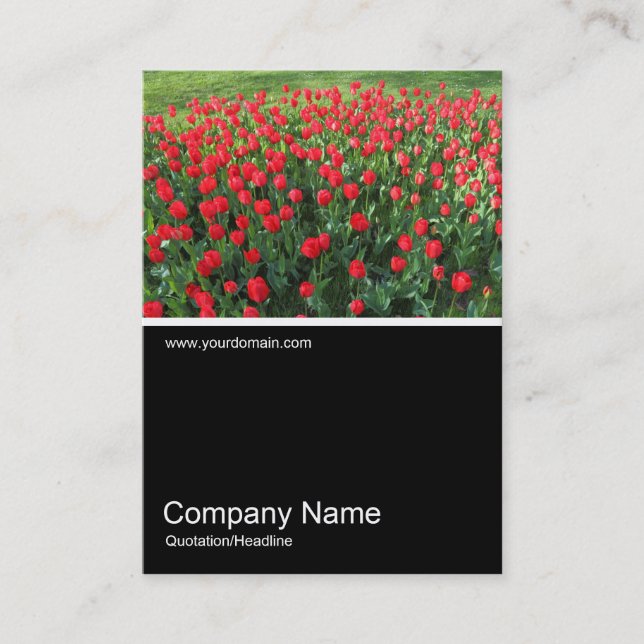 Cartão De Visita Meia Foto 0381 - Cama de Tulipas Vermelhas 01 (Frente)