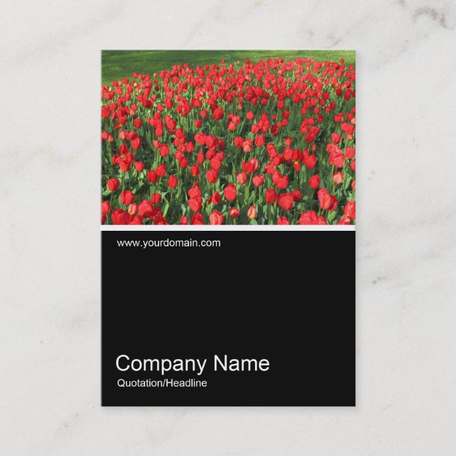 Cartão De Visita Meia Foto 0382 - Cama de Tulipas Vermelhas 02 (Frente)