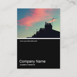 Cartão De Visita Meia &Foto 0386 - Pássaros Antecipados