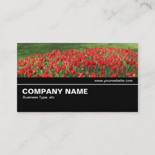 Cartão De Visita Meio caminho V2 035 - Cama de Tulipas Vermelhas 02