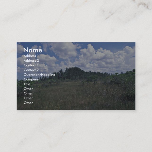 Cartão De Visita Melaleuca (Frente)