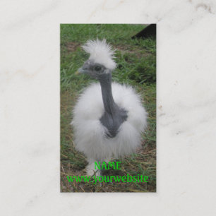 Cartão De Visita Menina de seda de Turken