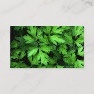 Cartão De Visita Mercado de Plantas Frescas