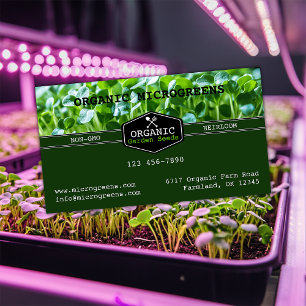 Cartão De Visita Microgreias Orgânicas