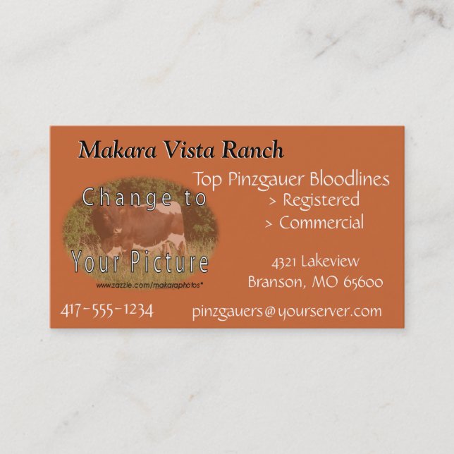 Cartão De Visita MikeCard 2 - personalize ambos os lados (Frente)