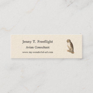 Cartão De Visita Mini A Coruja das Cinzas Excelentes (Strix nebulosa) NY