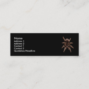 Cartão De Visita Mini Aranha do Tarantula