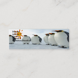 Cartão De Visita Mini Blues Brothers