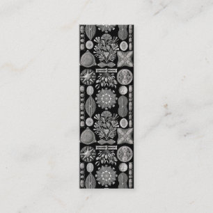 Cartão De Visita Mini Ernst Haeckel Diatomea