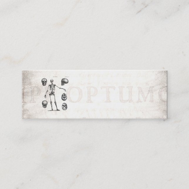 Cartão De Visita Mini Esqueletos antigos de esqueleto da anatomia dos (Frente)