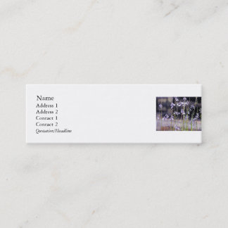 Cartão De Visita Mini Flores selvagens