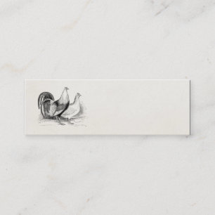 Cartão De Visita Mini Galinhas do galo dos pássaros da galinha da