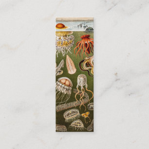 Cartão De Visita Mini Ilustração das medusas da antiguidade das medusa