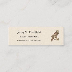 Cartão De Visita Mini Imagem de aves do Norte Hawk Owl (Surnia ulula)