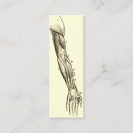 Cartão De Visita Mini Músculos da anatomia | do vintage do braço (cerca