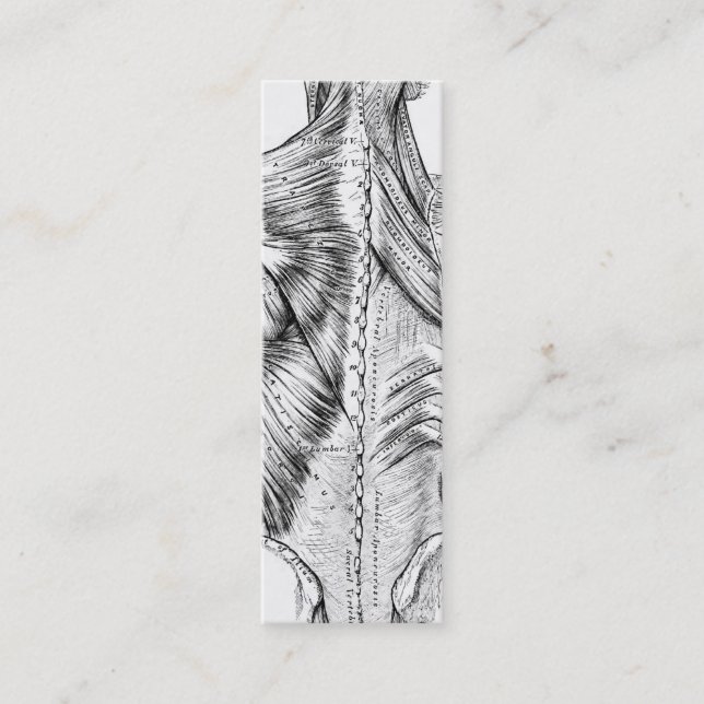 Cartão De Visita Mini Músculos traseiros da arte preto e branco da (Frente)