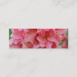 Cartão De Visita Mini NYBG: No. 116