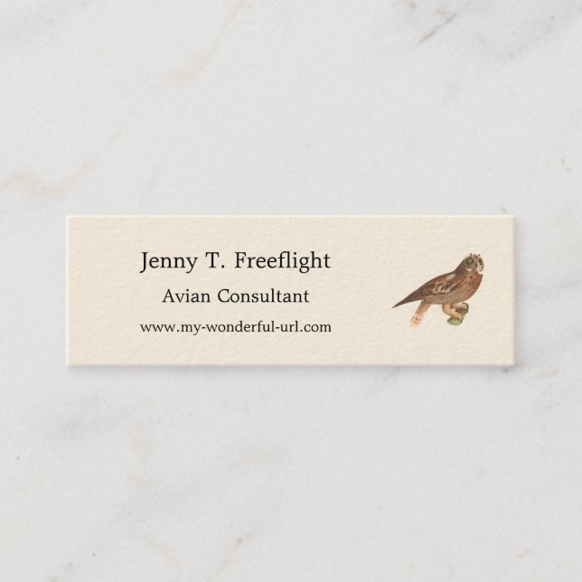 Cartão De Visita Mini O Pássaro de Nova Iorque (Otus palustris) (Frente)