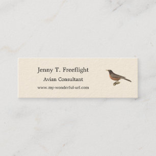 Cartão De Visita Mini O Robin Americano (Turdus migratorius) NY Birds