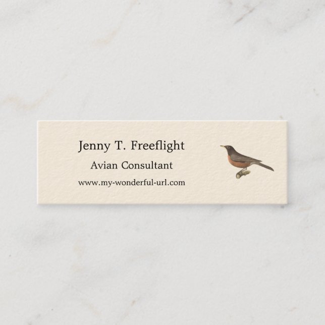 Cartão De Visita Mini O Robin Americano (Turdus migratorius) NY Birds (Frente)