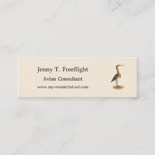 Cartão De Visita Mini O Turvo Marrom ou o Traseiro Marrom, Pássaros de N