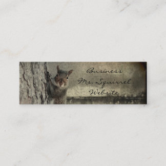 Cartão De Visita Mini Olá Squirrel