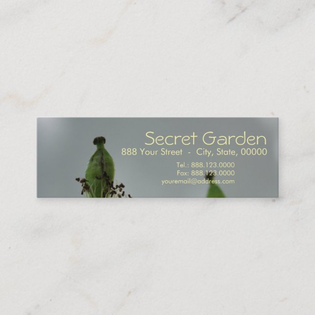 Cartão De Visita Mini Papas e sombra (5) (Frente)