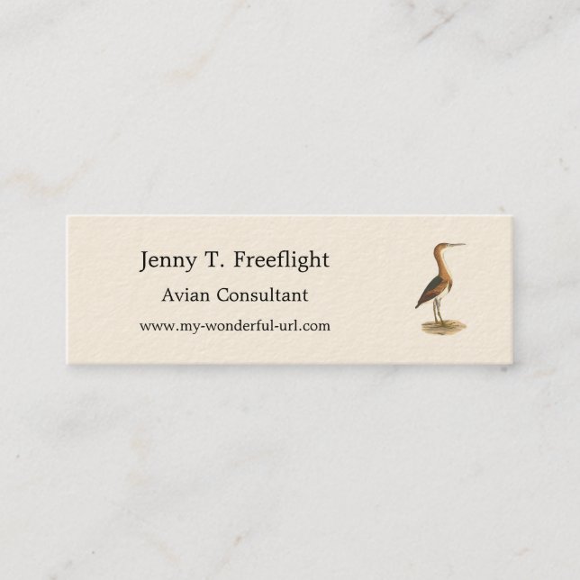 Cartão De Visita Mini Pássaros de Nova Iorque (Ixobrychus exilis) (Frente)