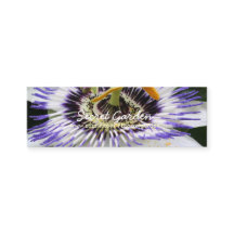 Passiflora 3 Fotografia Floral