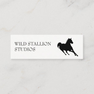 Cartão De Visita Mini Stallion  Animais  Produções Vídeo Animação