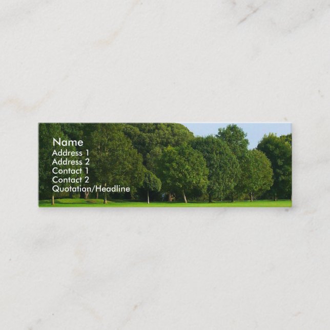 Cartão De Visita Mini Uma tarde tranquila no parque (Frente)