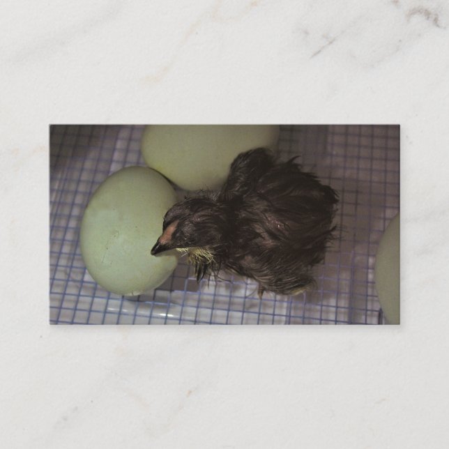 Cartão De Visita Minutos velhos (Frente)