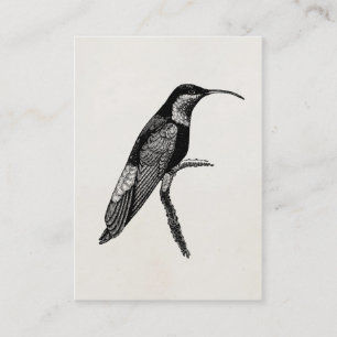 Cartão De Visita Modelo da ilustração do pássaro do colibri do