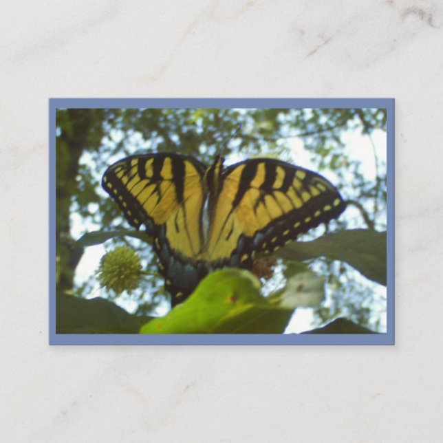 Cartão De Visita Monarca Amarelo Sunshine (Frente)