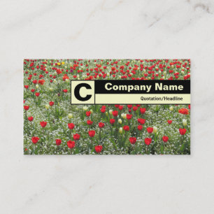 Cartão De Visita Monograma com Bordo - Cama de Tulipas