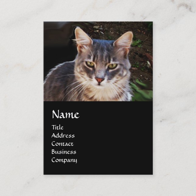 CARTÃO DE VISITA MONOGRAMA DE GATO TURCO (Frente)