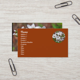 Cartão De Visita Mosca Branca de Flores e Abelhas
