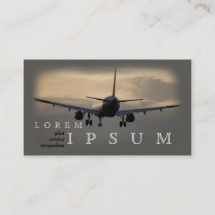Cartão De Visita Mosca piloto da viagem do céu do plano do