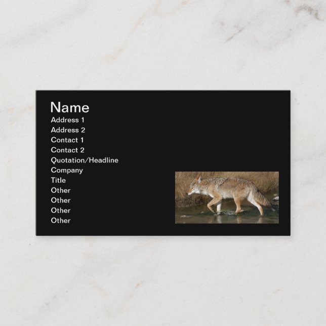 Cartão De Visita Movimento fluido (Frente)