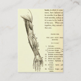Cartão De Visita Músculos da anatomia | do vintage do braço (cerca